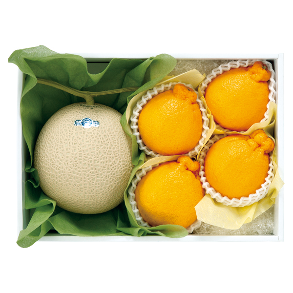 ct[c ÉY }XN啪Y fR|y͂ԁF11{`z